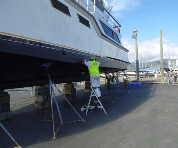 Antifouling services Nelson