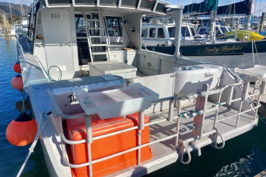 Bladerunner 12.2m power cat - Image 18